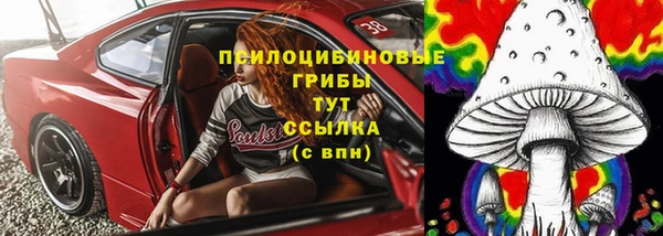 эйфоретик Алексин