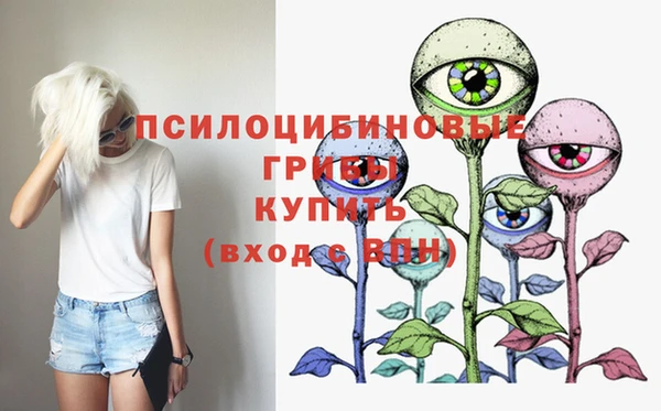эйфоретик Алексин