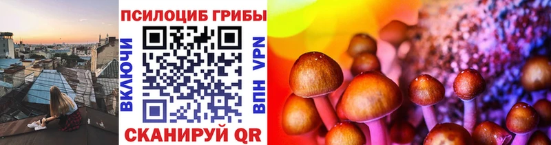где купить наркотик  Выкса  Галлюциногенные грибы мухоморы 